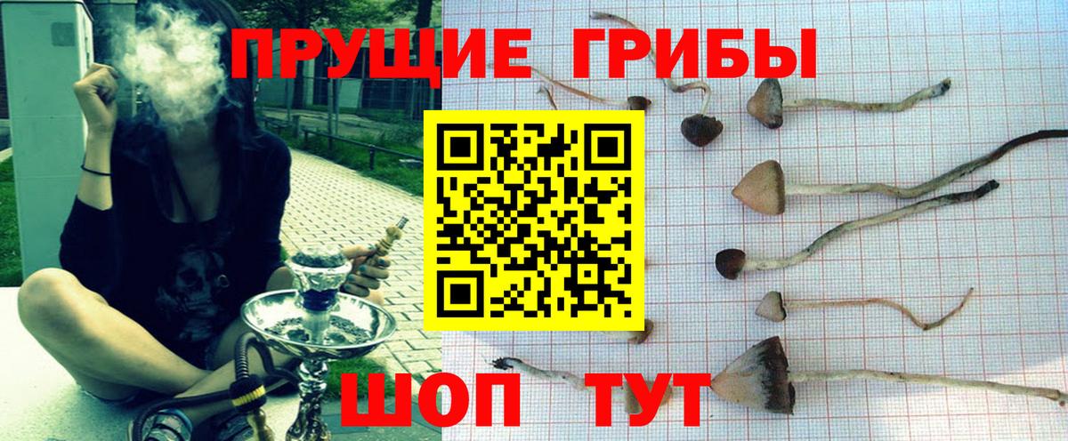 Галлюциногенные грибы Magic Shrooms  Вход с VPN  Псилоцибиновые грибы Magic Shrooms  Кольчугино 